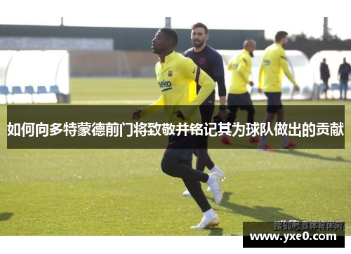 如何向多特蒙德前门将致敬并铭记其为球队做出的贡献
