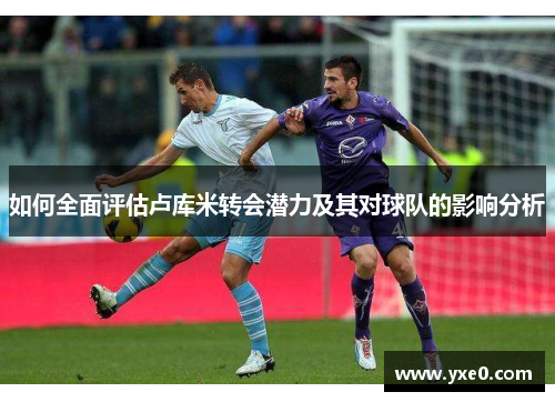 如何全面评估卢库米转会潜力及其对球队的影响分析